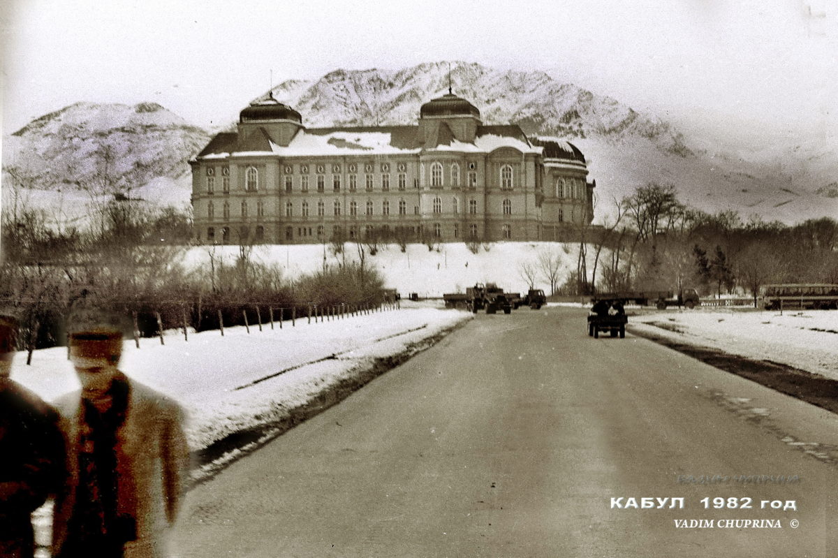 Life After Ruins: Ruderal Ecologies, Afghan Diaspora, & Another Anthropocene